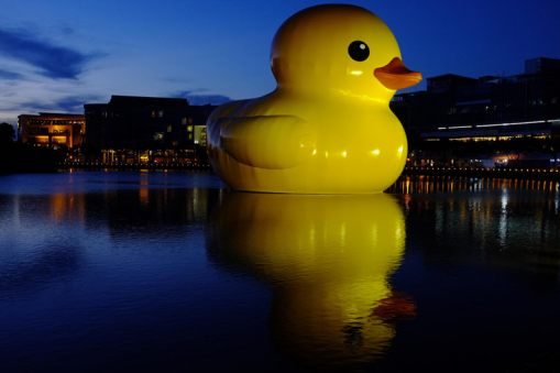 Giant-Rubber-Duck(HCM-city)